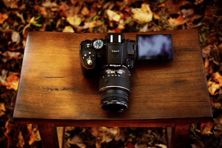 هل نيكون d5300 تستحق الشراء 